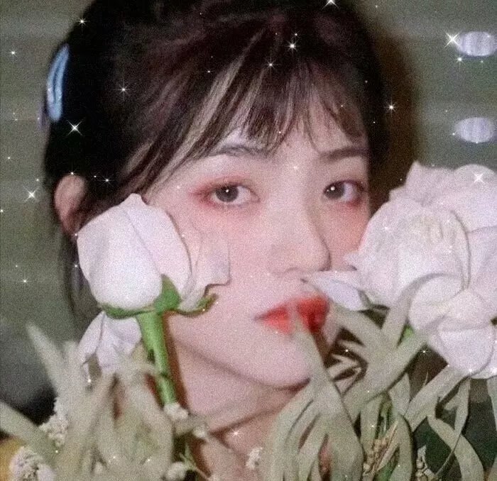 灵欲九重天